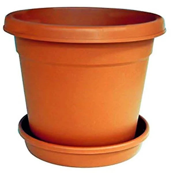 Nursery Pot, Plastic or Cosmoplast Round Pot
