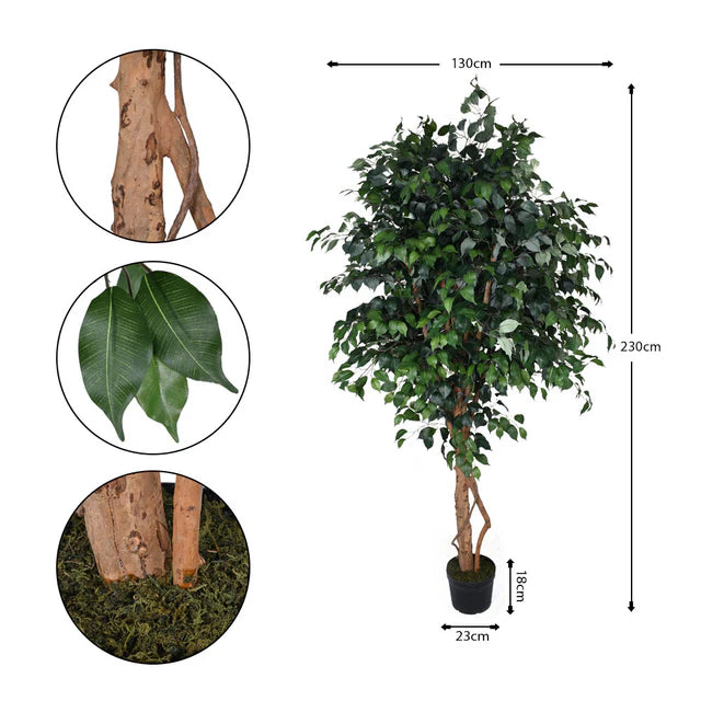 Artificial Ficus Plant