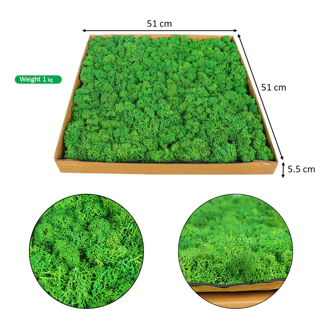 Moss Preserved Moss Wall Panels
