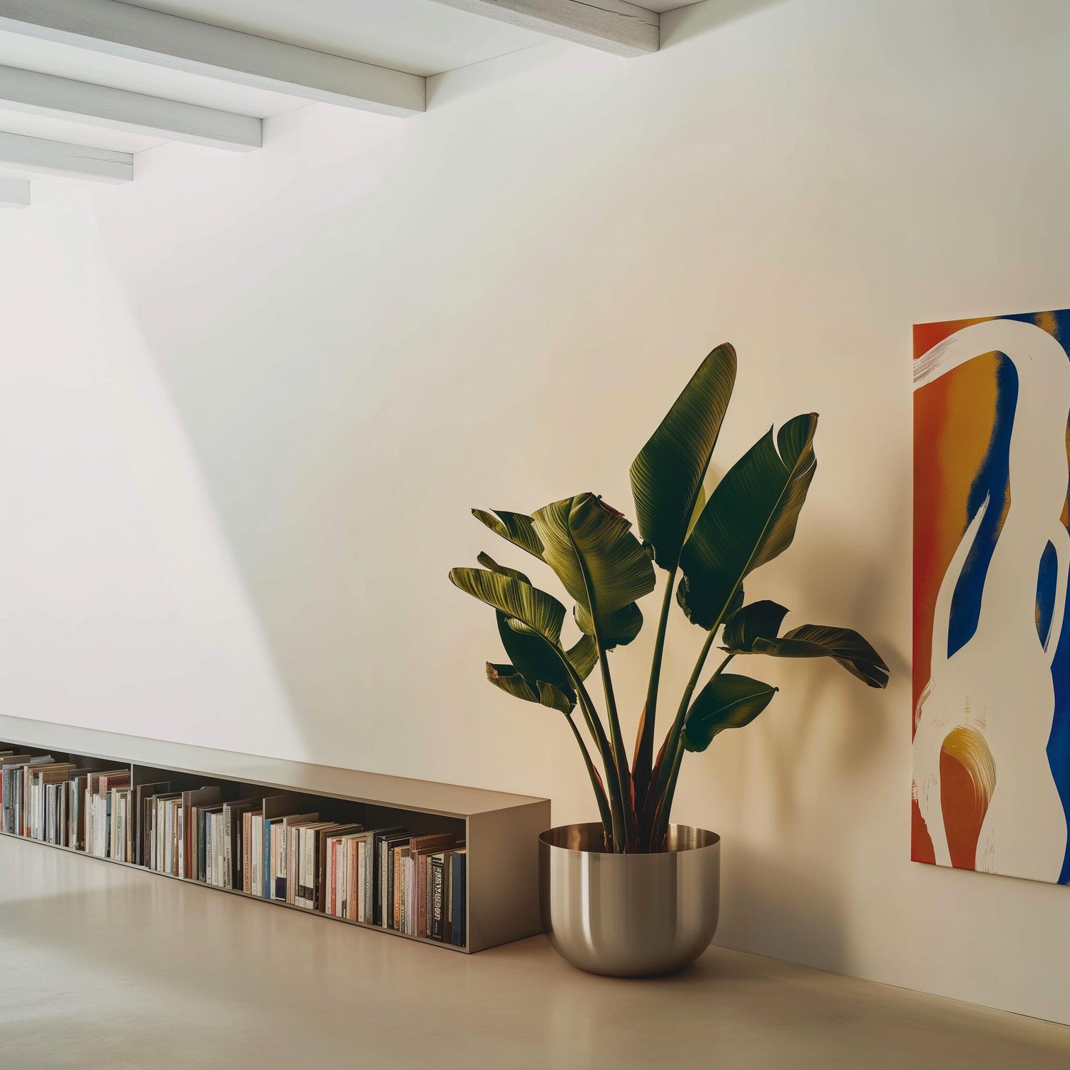 Indoor Plants