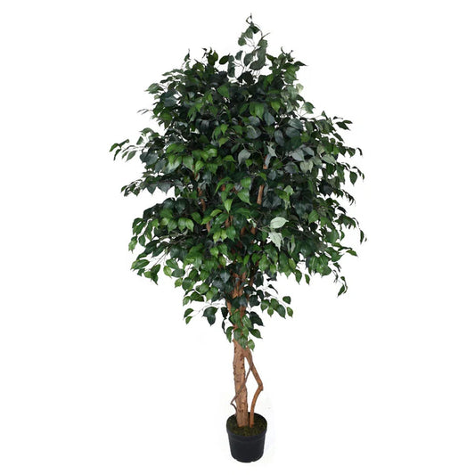 Artificial Ficus Plant