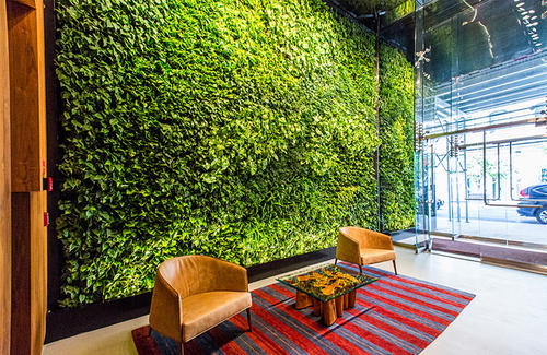 Green Walls