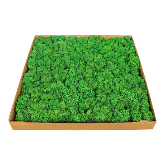 Moss Preserved Moss Wall Panels